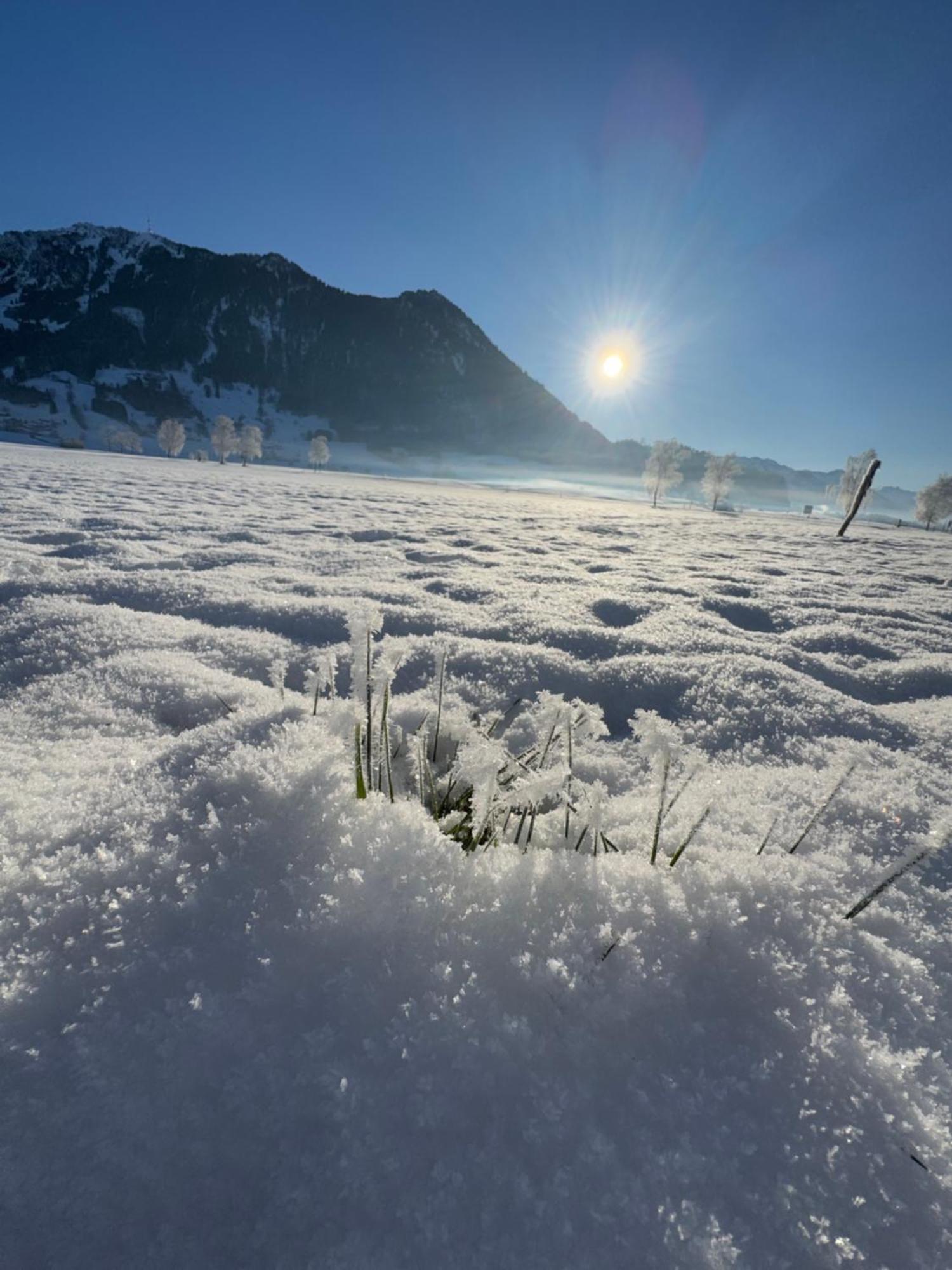 Allgaeu Bergluft Weitnau Zewnętrze zdjęcie