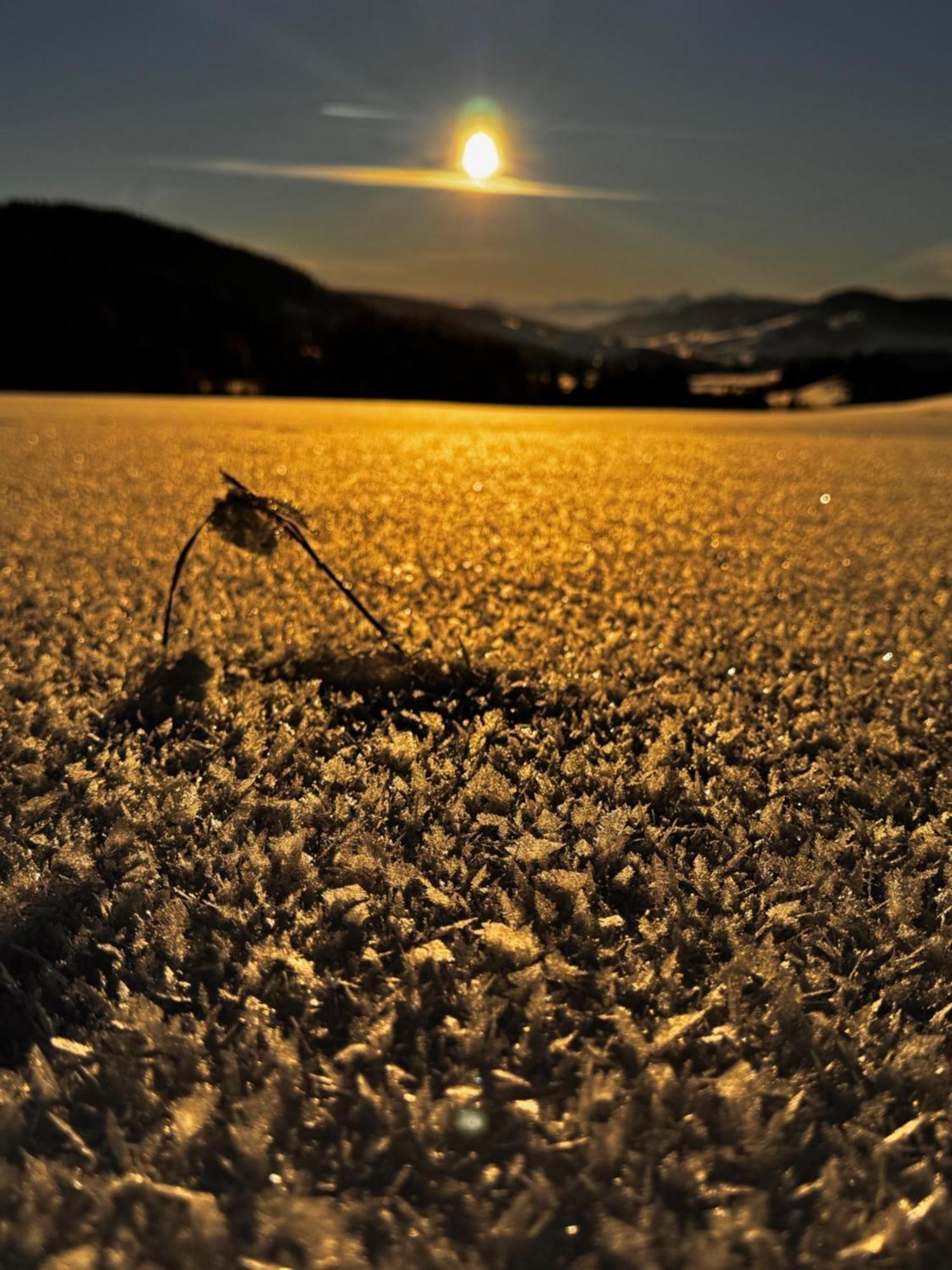 Allgaeu Bergluft Weitnau Zewnętrze zdjęcie