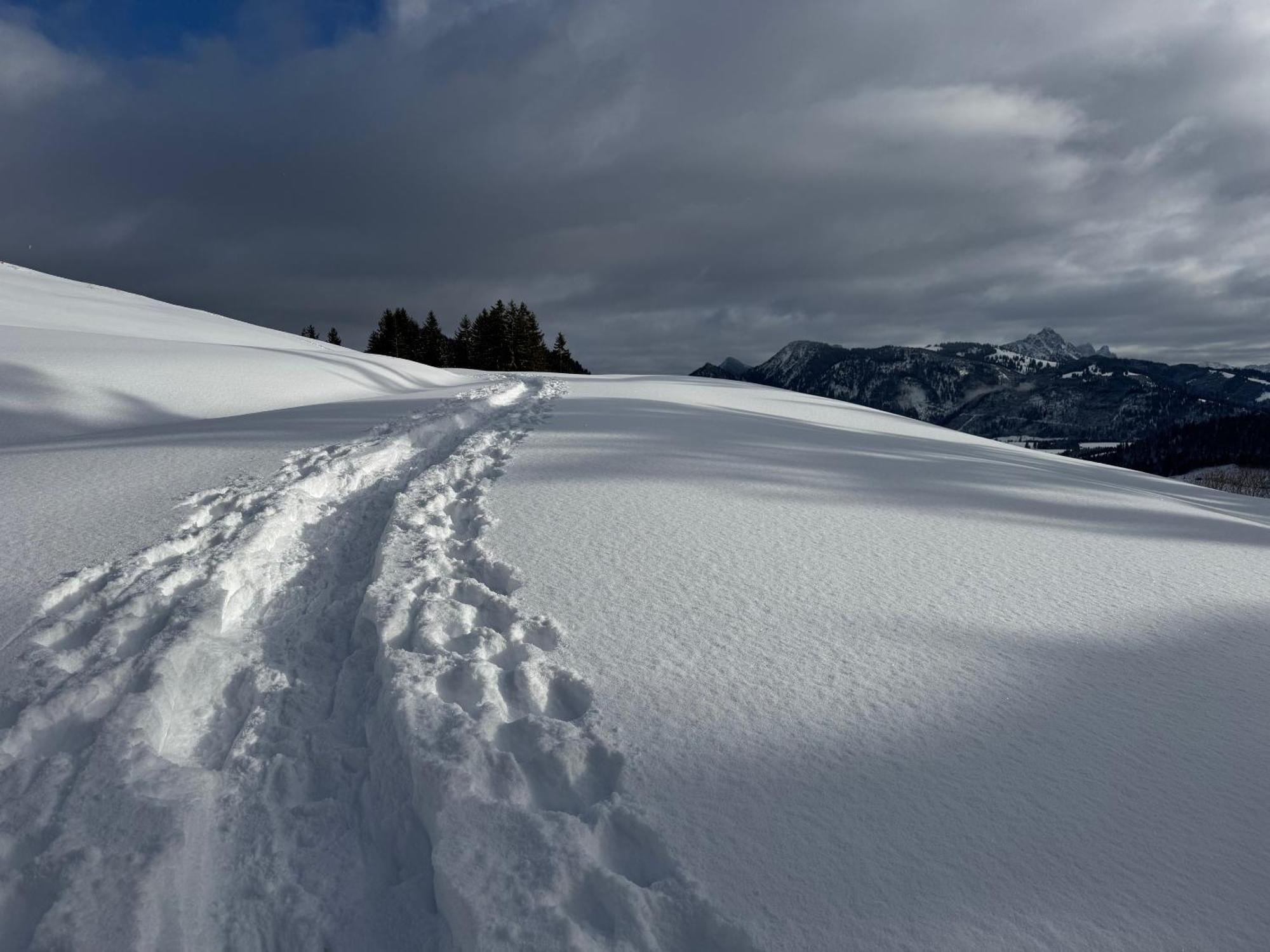 Allgaeu Bergluft Weitnau Zewnętrze zdjęcie