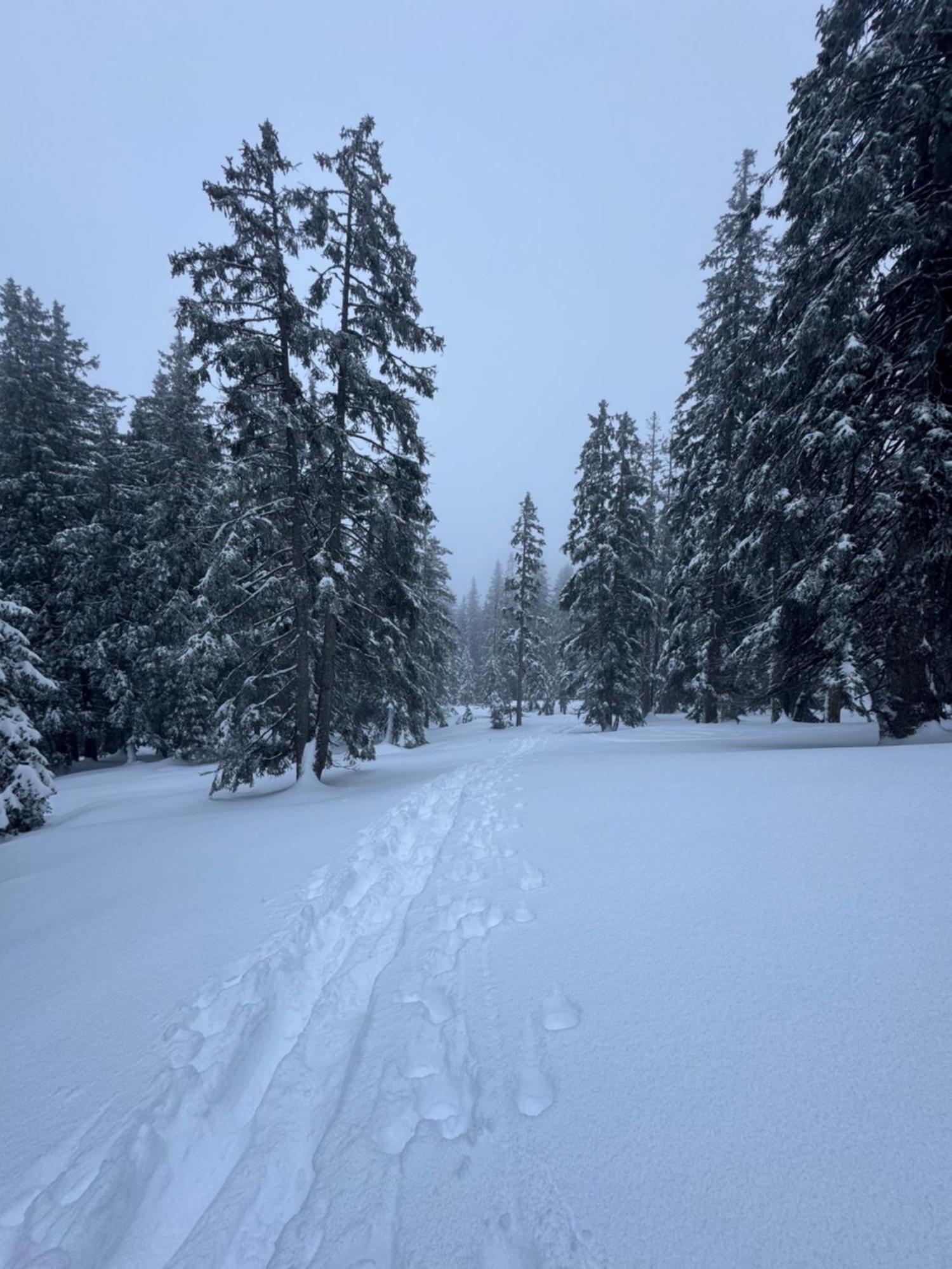 Allgaeu Bergluft Weitnau Zewnętrze zdjęcie